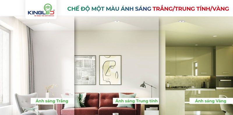 am-tran-diamond-1-mau-anh-sang-mat-cong