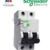 aptomat-mcb-1-pha-2-cuc-schneider-easy9.jpg