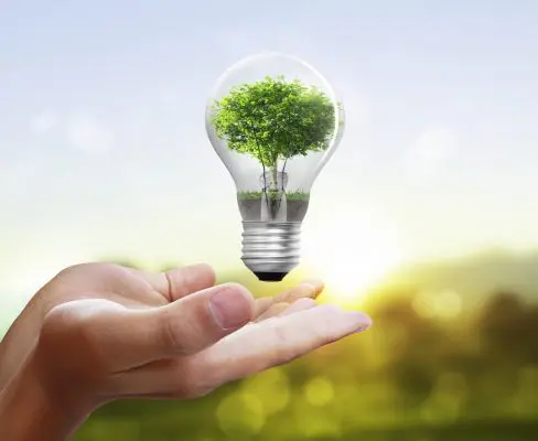 Lưu bản nháp tự động