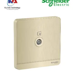 Ổ cắm TV đơn E8331TV_WG_G19 AvatarOn Schneider