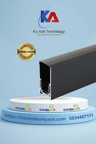 ray nam châm nổi